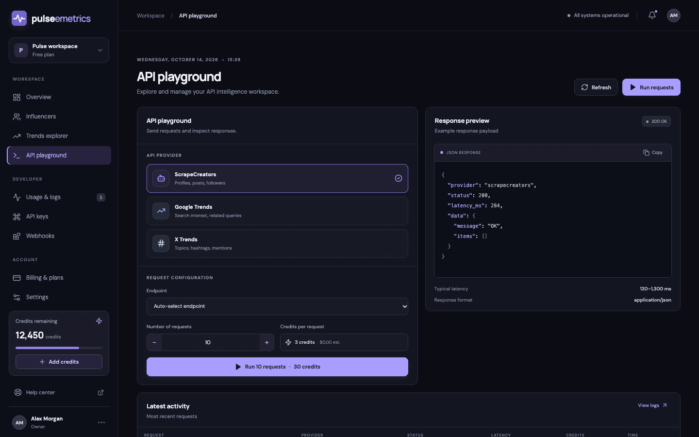API playground with provider selection and response preview